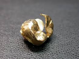 『金歯』を保管されていませんか?今が売り時ですよ!!買取専門店 大吉 名西店