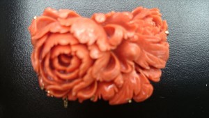 赤サンゴ　逗子　鎌倉　葉山