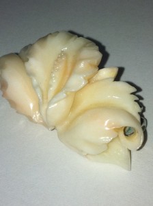 珊瑚の画像です