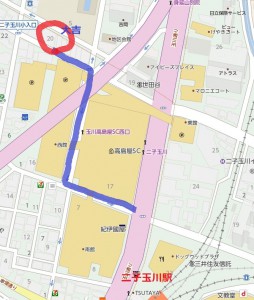 Cut2014_0908_1518_16