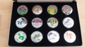 カリブ海の生きた宝石