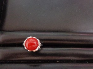 赤珊瑚 赤さんご プラチナ