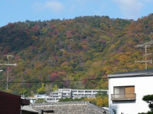 箕面 紅葉