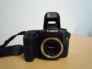 一眼レフの画像です