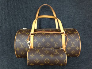 パピヨンの画像です