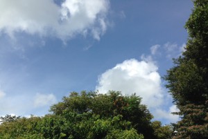 茨城 ガラケー 携帯電話 買取