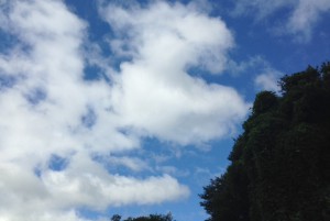 新型車両 40000系