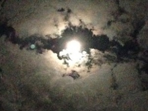 買取 常陸大宮 カメラ