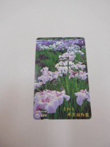 大吉あすみが丘ブランニューモール店です。【買取】テレカお持ち頂きました。