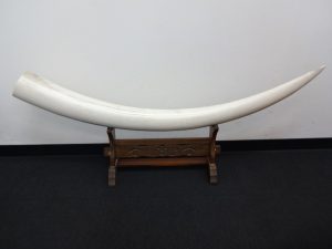 近鉄奈良線生駒駅南口と生駒ケーブル線鳥居前駅からすぐの買取専門店大吉グリーンヒルいこま店でお買取させて頂きました象牙の画像です。