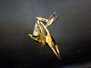 大吉 調布店で買取した金