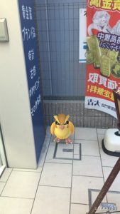 駅から3分　池田市の買取専門店大吉池田店