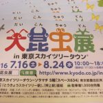 招待券の買取なら市川市大吉本八幡店