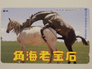 久留米 テレホンカード(テレカ) 買取