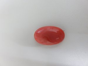 珊瑚も買取ります!鹿児島大吉グラード伊集院店!