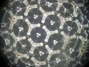 カレイドスコープ　買取箕　面