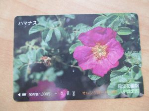 オレンジカードの買取をしています。大吉宇都宮東宿郷店です。