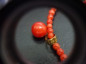 大吉調布店で買取したサンゴ(珊瑚)