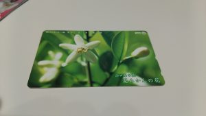 テレホンカード買取致します。