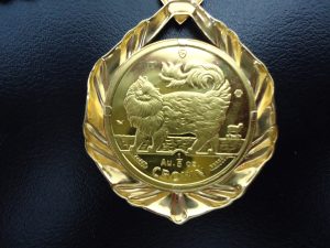 河内長野 金貨 買取