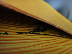 神戸市の皆様、汚れたルイヴィトンの買取ならキッピーモール三田店へ。