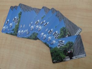 金券を高く売るなら買取専門店 大吉ゆめタウン八代店へ!