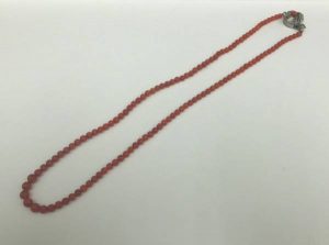 premycious02-img600x445-1486543104s440ra23542