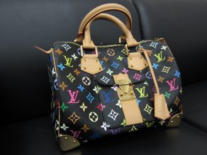 LOUIS VUITTON(ルイヴィトン) のバッグ(スピーディ30/マルチカラー)
