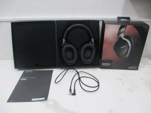 lizard_1610-img600x450-1487761352mssjur29438-300x225