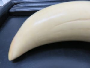 買取専門店大吉のブログをご覧いただき ご来店頂きました。