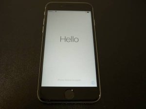 yamashiro0121_0220-img600x450-1497161320xtbeaz28956