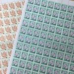 IMG_1536-300x225-300x225[1]