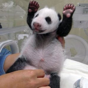 貴金属の高価買取は大吉MEGAドン・キホーテ弁天町店!2