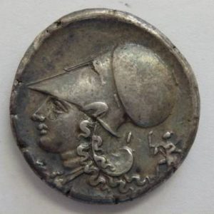 goodlife5336-img600x600-14993118848tqjgy25034