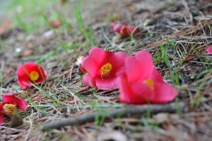 着物の高価買取は大吉MEGAドン・キホーテ弁天町店!3