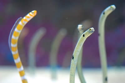 最高 沖縄 旅行