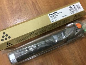 lizard_1703-img600x450-1498203902sm4bg629993-300x225