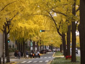 時計の高価買取は大吉MEGAドン・キホーテ弁天町店！2