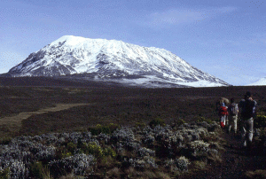 切手の高価買取は大吉MEGAドン・キホーテ弁天町店！2