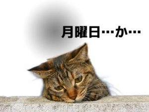 携帯電話の高価買取は大吉MEGAドン・キホーテ弁天町店!2