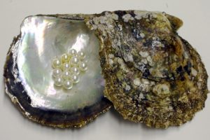 ダイヤの高価買取は大吉MEGAドン・キホーテ弁天町店!