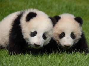 古銭の高価買取は大吉MEGAドン・キホーテ弁天町店!