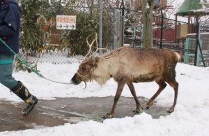 テレホンカードの高価買取は大吉MEGAドン・キホーテ弁天町店!4