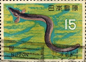 商品券の高価買取は大吉MEGAドン・キホーテ弁天町店!3