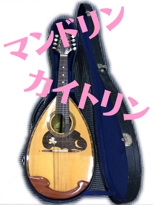 弦楽器マンドリン!買い取りました\(^o^)/京都大吉西院店♬