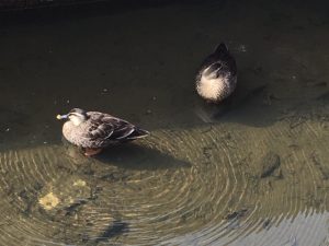 リサイクル、買取、金、ダイヤモンド、ルイヴィトン