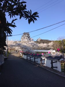 ダイヤモンドの買取なら松山市の大吉松山久万ノ台店にお任せ下さい！