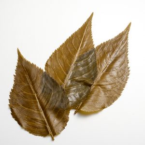 商品券を弁天町、九条で売るなら高価買取の大吉弁天町店！2