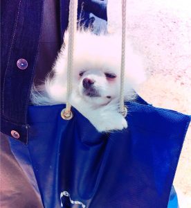 ダイヤモンドの買取なら松山市の大吉松山久万ノ台店にお任せ下さい!!