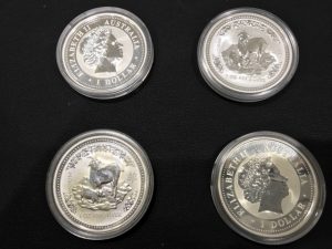 tamadairanomori_1221-img640x480-1517551138tr126k18499